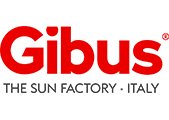 Gibus